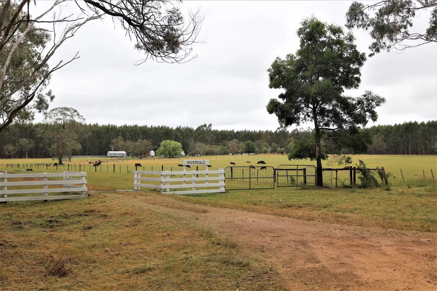 Main view of Homely rural property listing, 400 Condah-Hotspur Lower Road, Hotspur VIC 3303