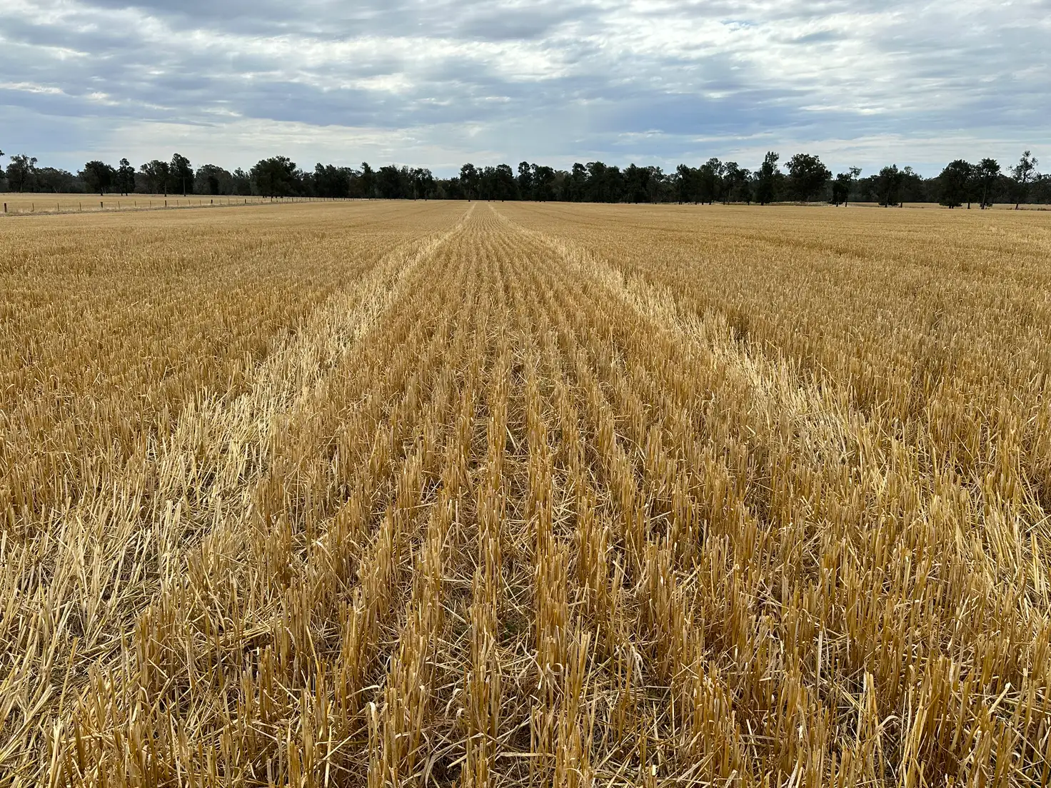 Main view of Homely rural property listing, 126-184 Henty Walla Road, Henty NSW 2658