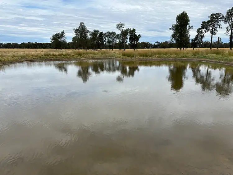 Third view of Homely rural property listing, 126-184 Henty Walla Road, Henty NSW 2658