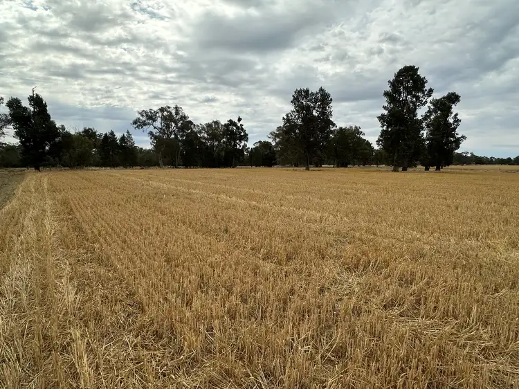 Fourth view of Homely rural property listing, 126-184 Henty Walla Road, Henty NSW 2658