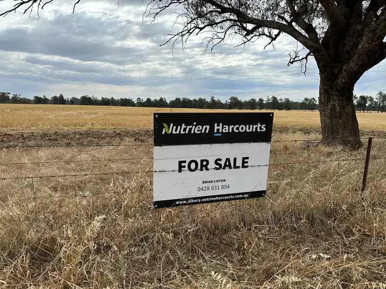 Fifth view of Homely rural property listing, 126-184 Henty Walla Road, Henty NSW 2658