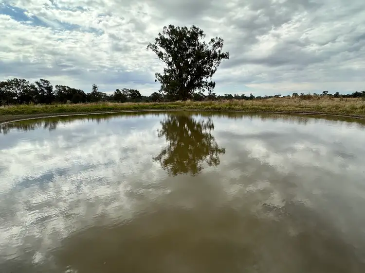 Sixth view of Homely rural property listing, 126-184 Henty Walla Road, Henty NSW 2658