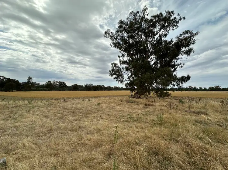 Seventh view of Homely rural property listing, 126-184 Henty Walla Road, Henty NSW 2658
