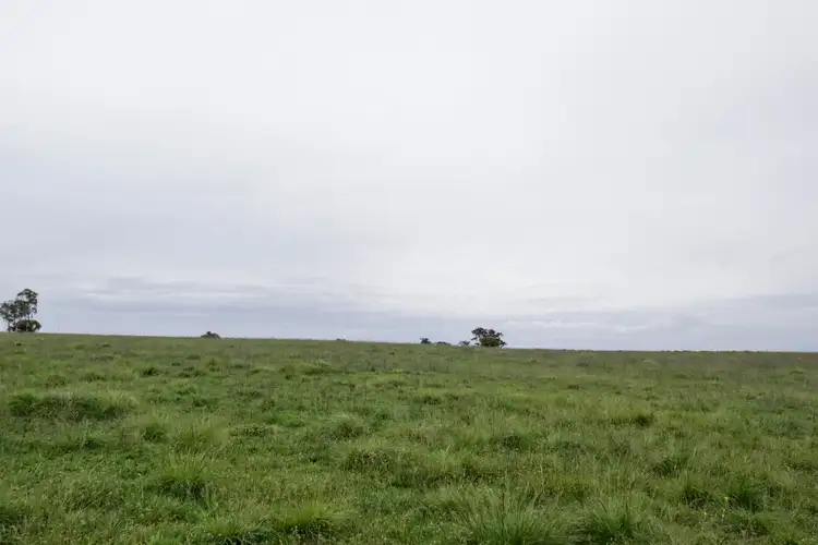 Third view of Homely land listing, 67 Bryans Gap Road, Tenterfield NSW 2372