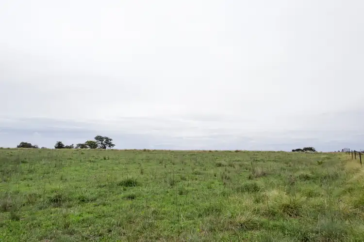 Fourth view of Homely land listing, 67 Bryans Gap Road, Tenterfield NSW 2372