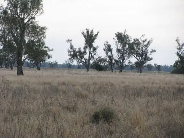 Main view of Homely rural property listing, . Lot 3 Wambianna Road, Warren NSW 2824