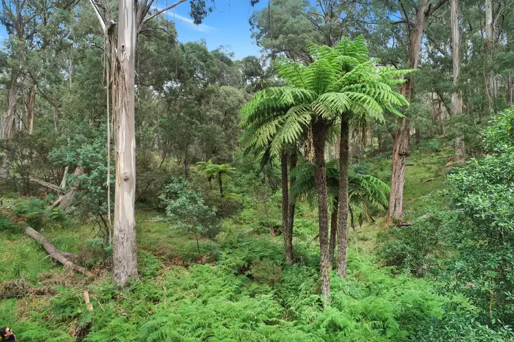 Fourth view of Homely rural property listing, 467 Police Track, Lima East VIC 3673