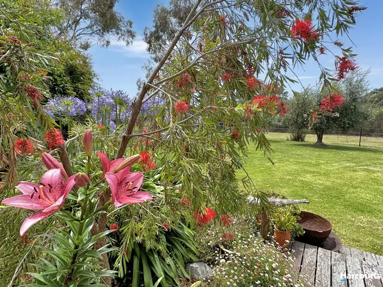 Fifth view of Homely house listing, 21384 Tasman Highway, Four Mile Creek TAS 7215