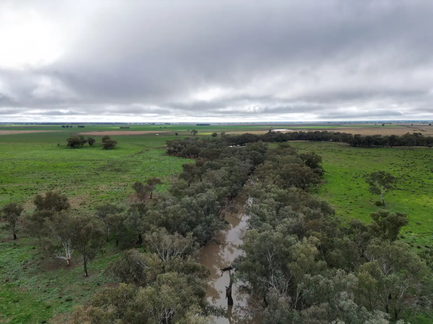 Main view of Homely rural property listing, 2758 Collie Trangie Road, Trangie NSW 2823