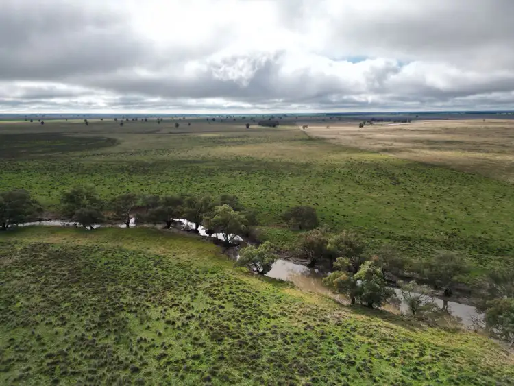 Second view of Homely rural property listing, 2758 Collie Trangie Road, Trangie NSW 2823