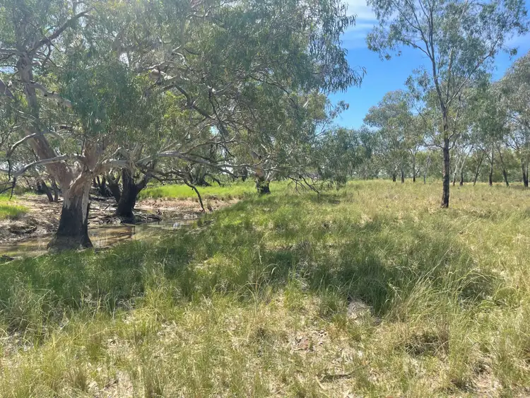 Third view of Homely rural property listing, 2758 Collie Trangie Road, Trangie NSW 2823