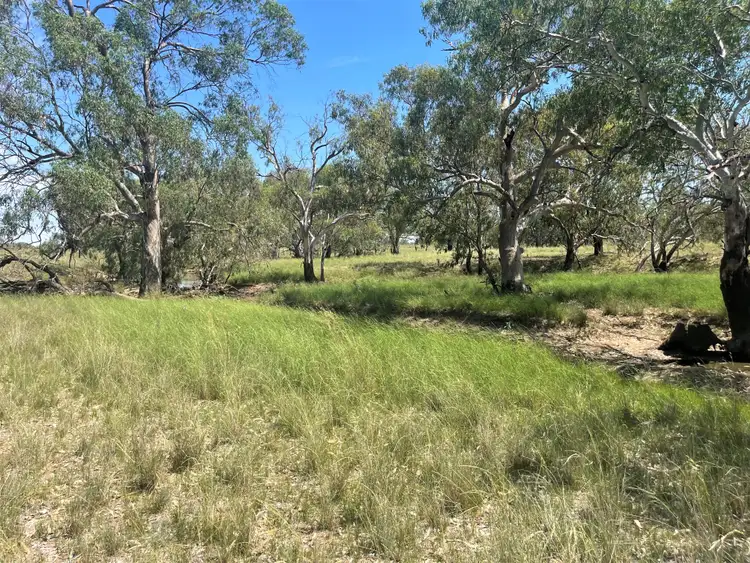 Fourth view of Homely rural property listing, 2758 Collie Trangie Road, Trangie NSW 2823