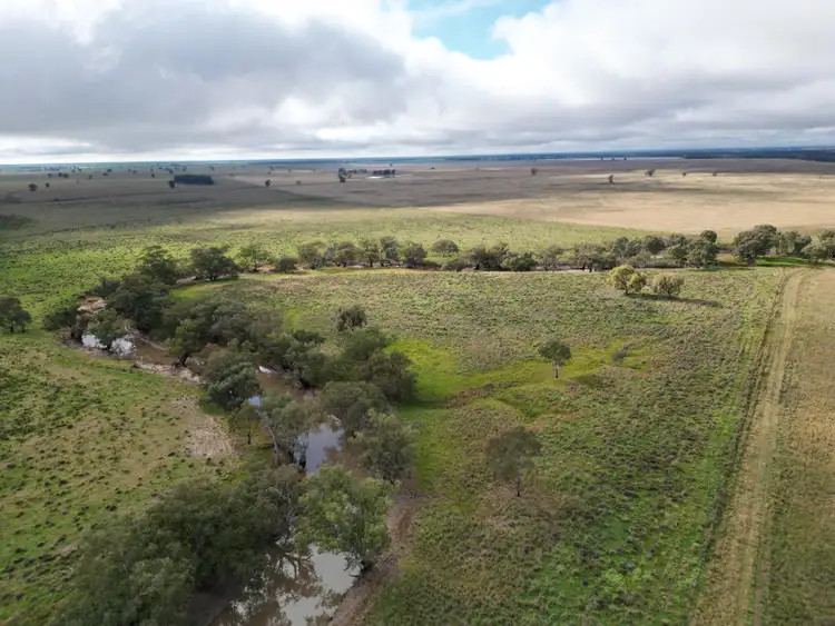 Fifth view of Homely rural property listing, 2758 Collie Trangie Road, Trangie NSW 2823