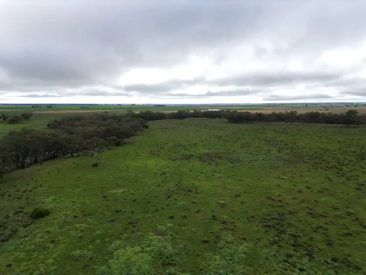 Sixth view of Homely rural property listing, 2758 Collie Trangie Road, Trangie NSW 2823