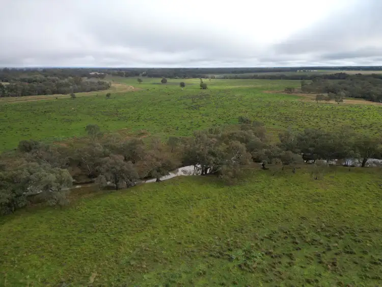 Seventh view of Homely rural property listing, 2758 Collie Trangie Road, Trangie NSW 2823
