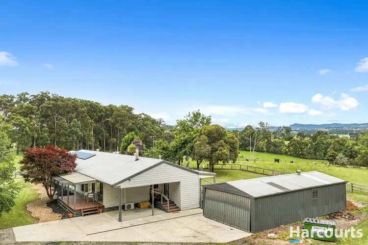Main view of Homely rural property listing, 87 Cobbledick Road, Hallora VIC 3818