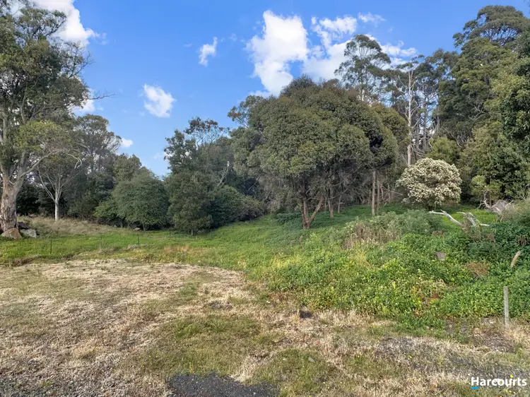 Main view of Homely land listing, 29 John Street, Cornwall TAS 7215
