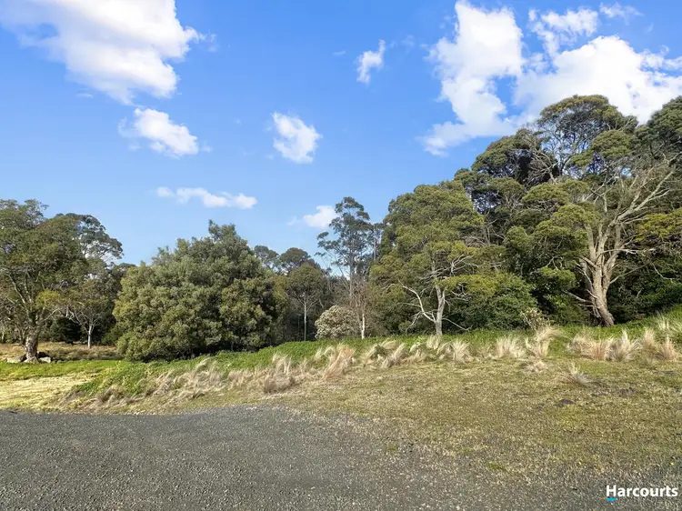 Fifth view of Homely land listing, 29 John Street, Cornwall TAS 7215
