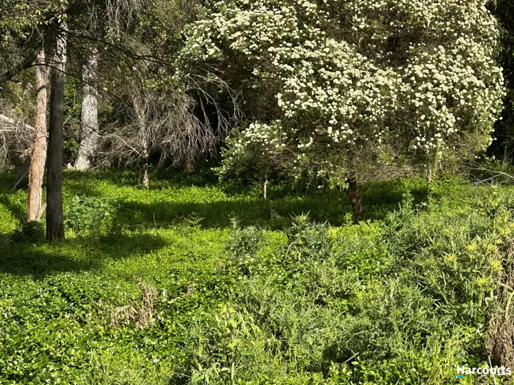Sixth view of Homely land listing, 29 John Street, Cornwall TAS 7215