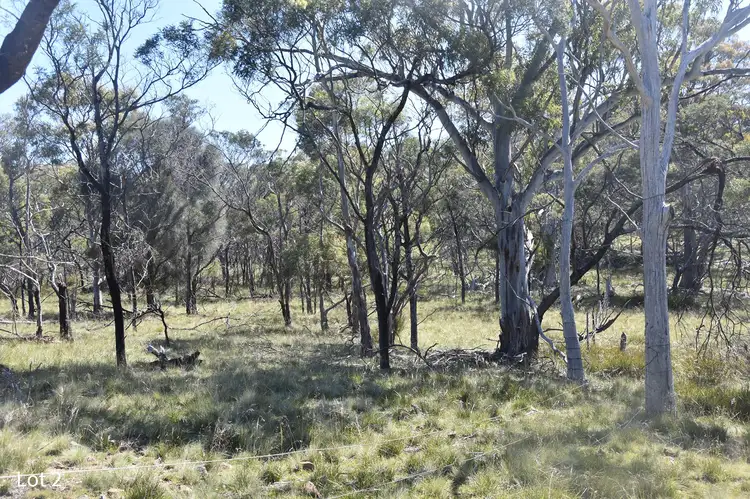 Fourth view of Homely land listing, Lot 2 Crossins Road, Swansea TAS 7190