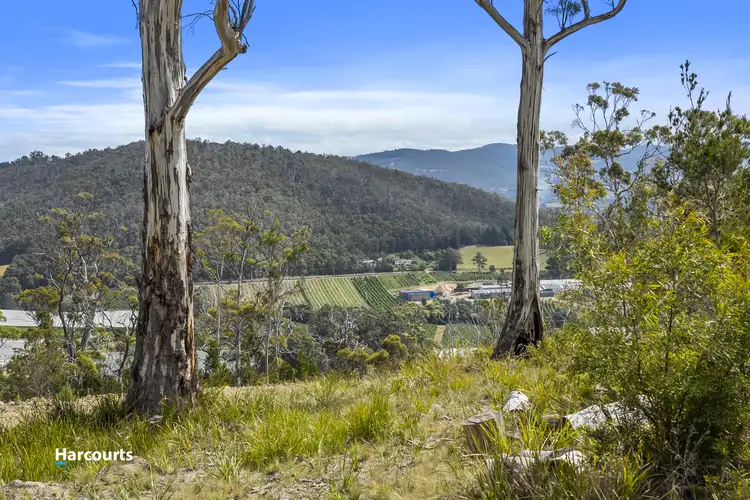 Second view of Homely land listing, 34 Bull Oak Way, Grove TAS 7109