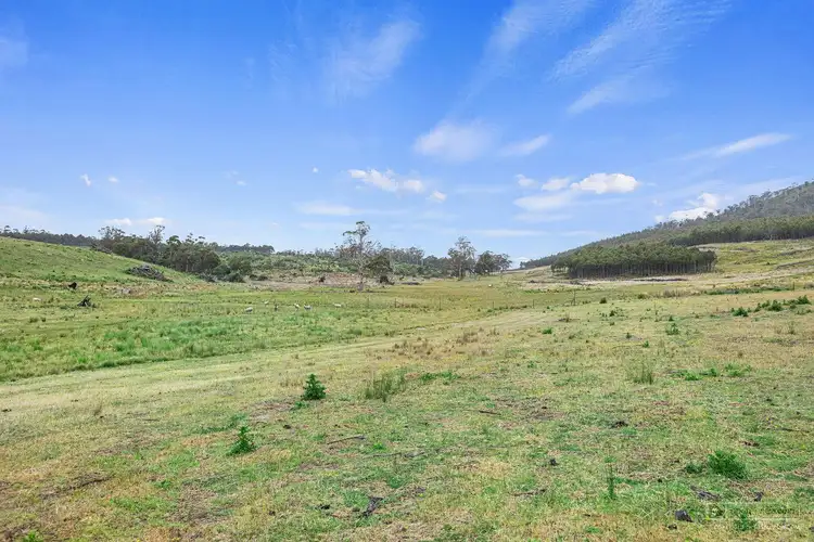 Third view of Homely rural property listing, 747 Pelham Road, Pelham TAS 7030