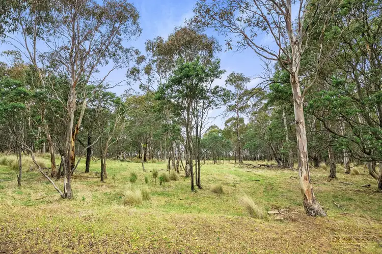 Fourth view of Homely rural property listing, 747 Pelham Road, Pelham TAS 7030