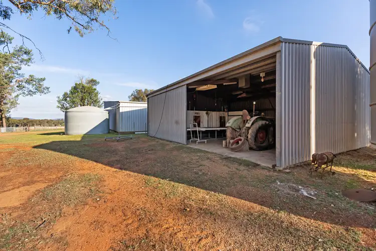 Fourth view of Homely rural property listing, 635 Curries Lane, Milbrulong NSW 2656