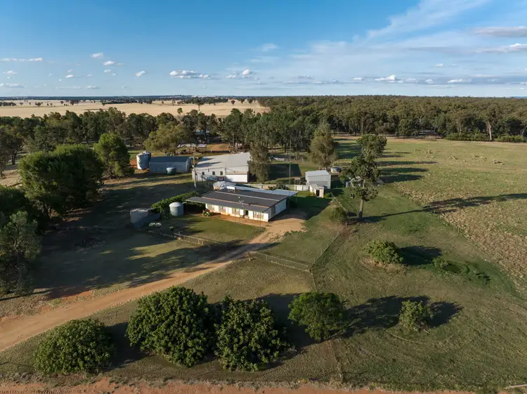 Sixth view of Homely rural property listing, 635 Curries Lane, Milbrulong NSW 2656