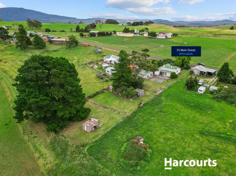 Fifth view of Homely house listing, 55 Main Street, Winnaleah TAS 7265