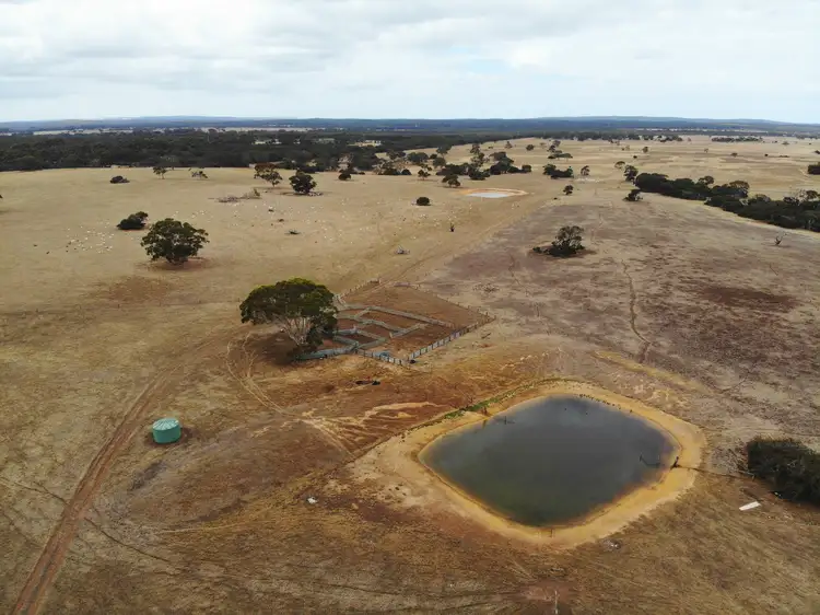 Main view of Homely rural property listing, 14 East West Two Highway, Seddon SA 5223