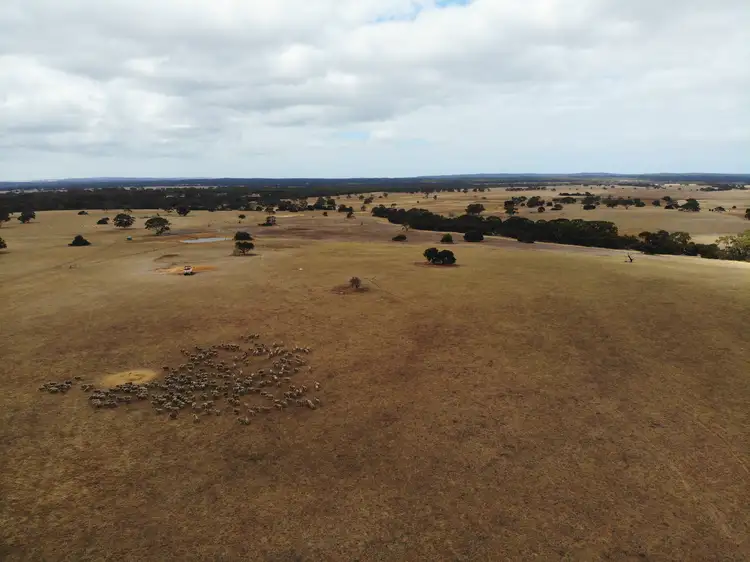 Third view of Homely rural property listing, 14 East West Two Highway, Seddon SA 5223