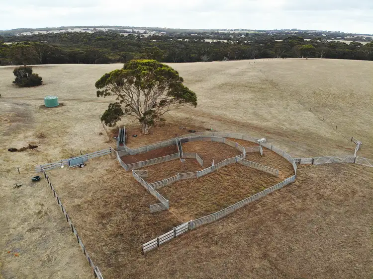 Fifth view of Homely rural property listing, 14 East West Two Highway, Seddon SA 5223