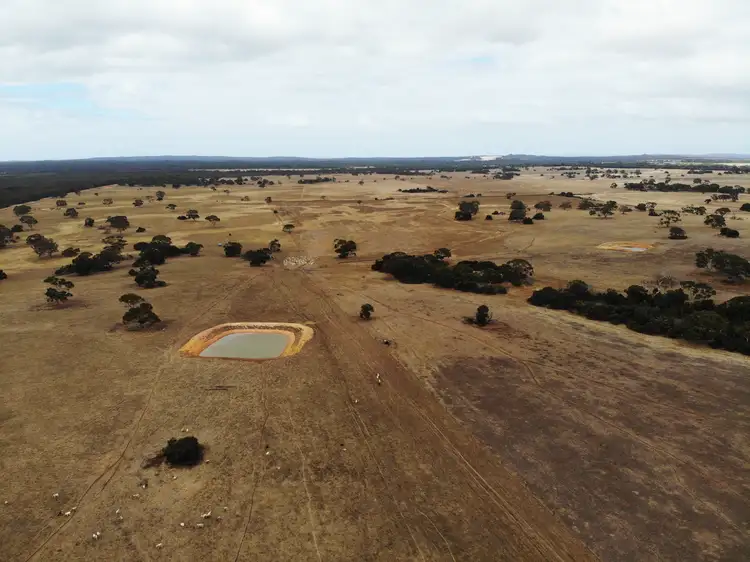 Sixth view of Homely rural property listing, 14 East West Two Highway, Seddon SA 5223