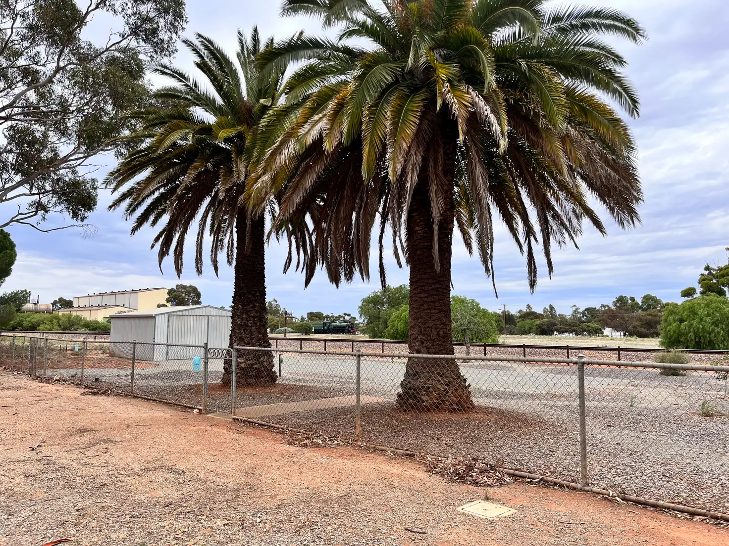 Main view of Homely land listing, 139 Railway Terrace, Peterborough SA 5422