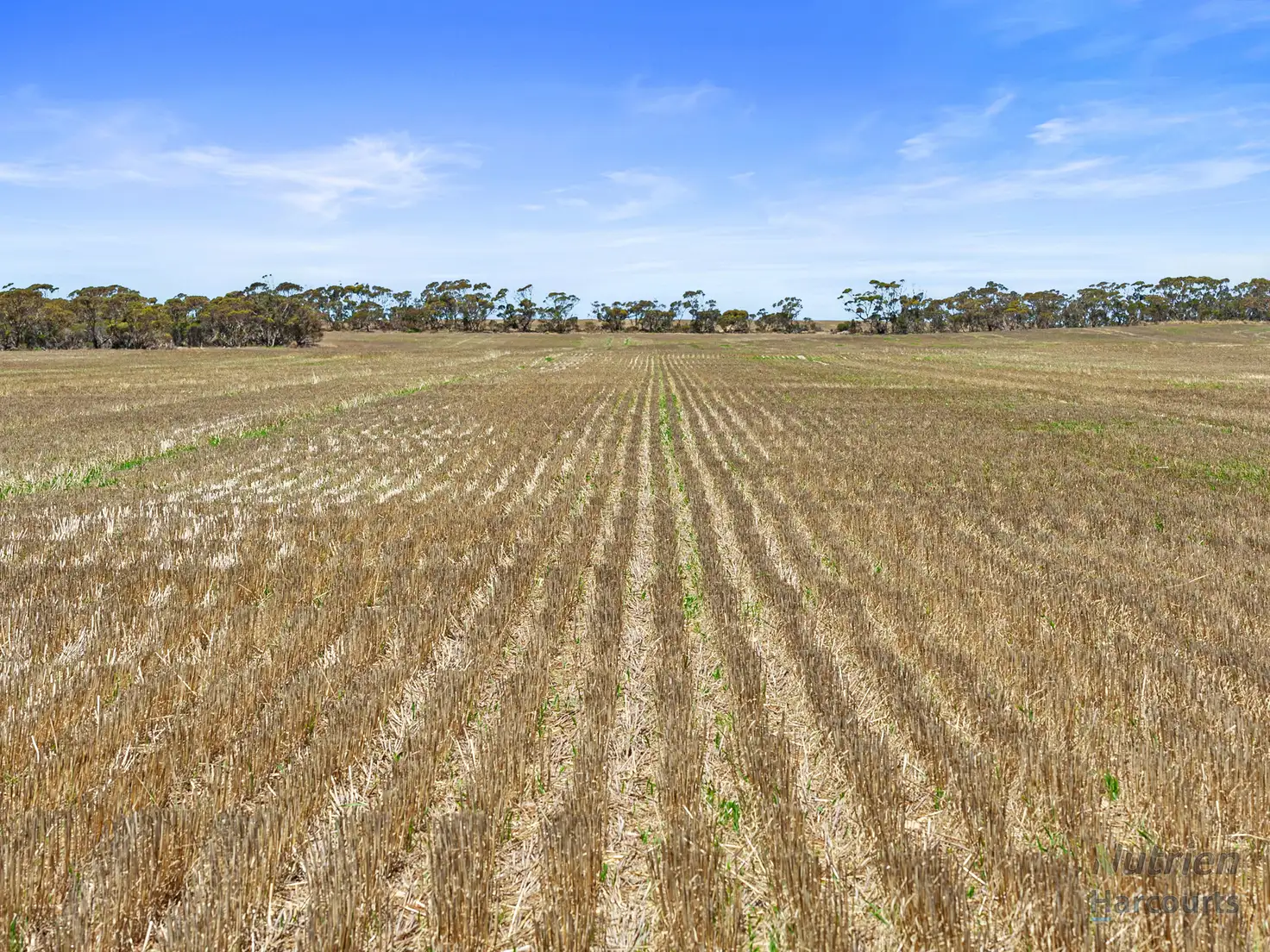 Main view of Homely rural property listing, Lot 201 Pipeline Road, Arthurton SA 5572