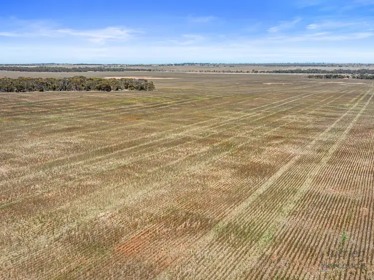 Second view of Homely rural property listing, Lot 201 Pipeline Road, Arthurton SA 5572