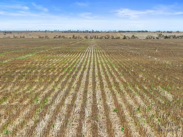 Sixth view of Homely rural property listing, Lot 201 Pipeline Road, Arthurton SA 5572