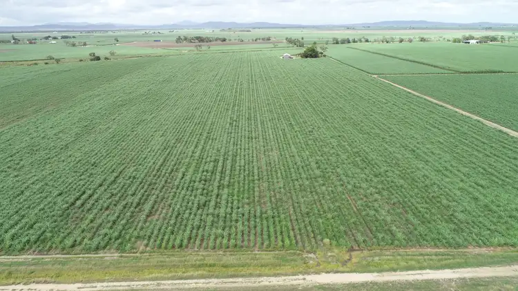 Sixth view of Homely rural property listing, 27948 Bruce Highway, Inkerman QLD 4806