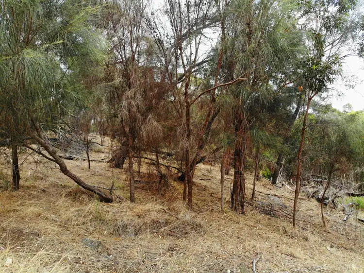 Third view of Homely land listing, 48 Trethewey Terrace, Penneshaw SA 5222