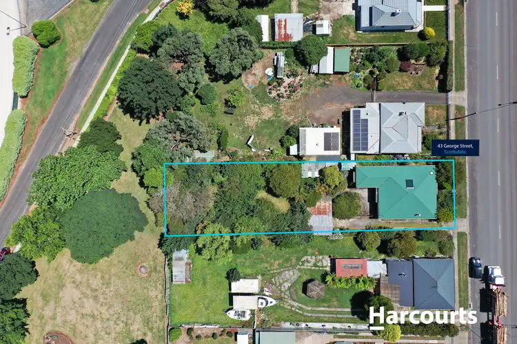 Fourth view of Homely house listing, 43 George Street, Scottsdale TAS 7260