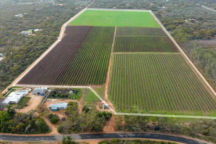 Main view of Homely rural property listing, Lot 581-Section 791 Davis Road, Winkie SA 5343