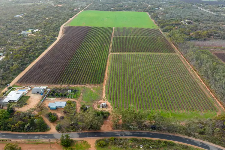 Third view of Homely rural property listing, Lot 581-Section 791 Davis Road, Winkie SA 5343