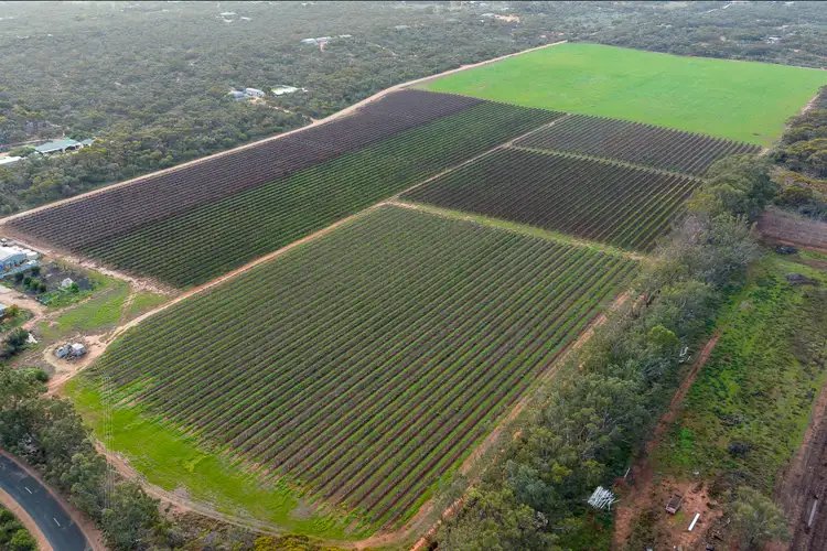 Fifth view of Homely rural property listing, Lot 581-Section 791 Davis Road, Winkie SA 5343