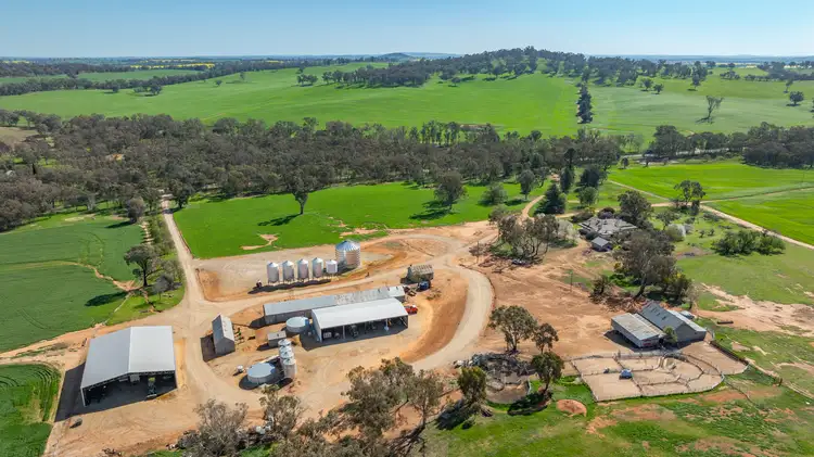 1726 Howlong Burrumbuttock Road, Burrumbuttock NSW 2642