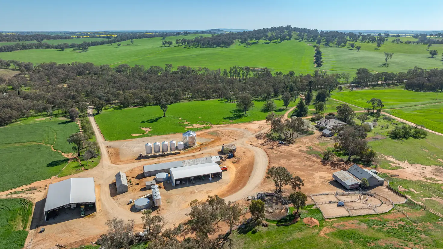 Main view of Homely rural property listing, 1726 Howlong Burrumbuttock Road, Burrumbuttock NSW 2642