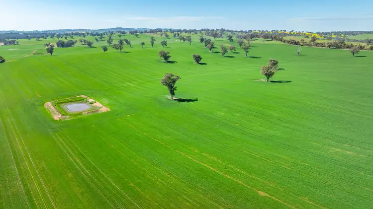 Second view of Homely rural property listing, 1726 Howlong Burrumbuttock Road, Burrumbuttock NSW 2642