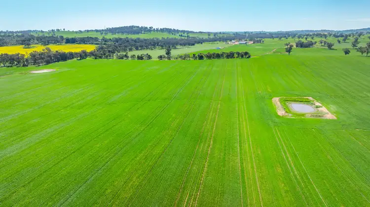 Third view of Homely rural property listing, 1726 Howlong Burrumbuttock Road, Burrumbuttock NSW 2642