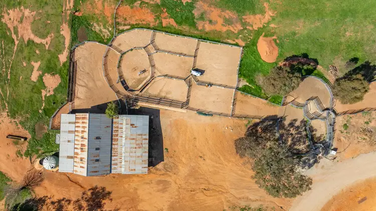 Sixth view of Homely rural property listing, 1726 Howlong Burrumbuttock Road, Burrumbuttock NSW 2642