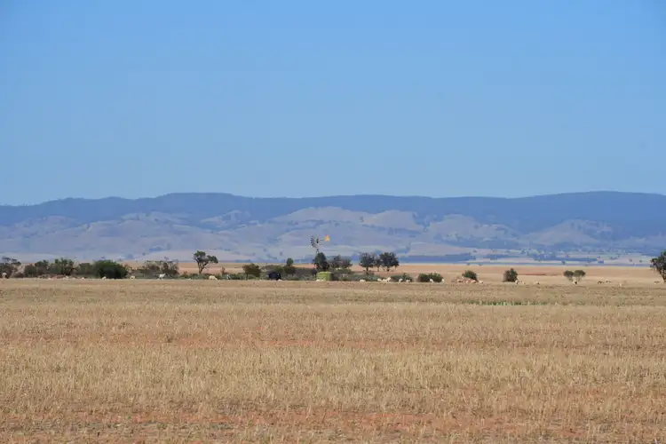 Main view of Homely rural property listing, Lots 25W & 26 Amyton Road, Wilmington SA 5485